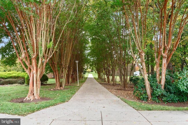 Building Photo - 3310 N Leisure World Blvd