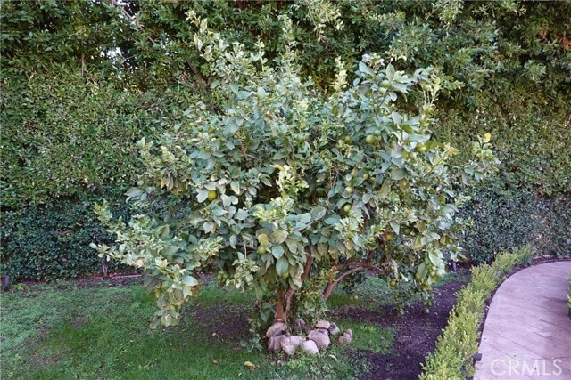 Building Photo - 1727 Hiawatha Dr