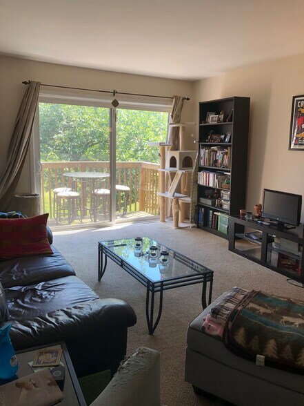 Living room - 423 Lawrence Rd