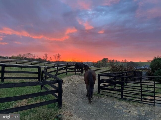 Building Photo - 15642 Old Waterford Rd