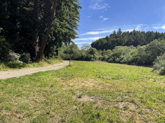Building Photo - Pet-Friendly Private Home On Large Lot With Detached Garage!