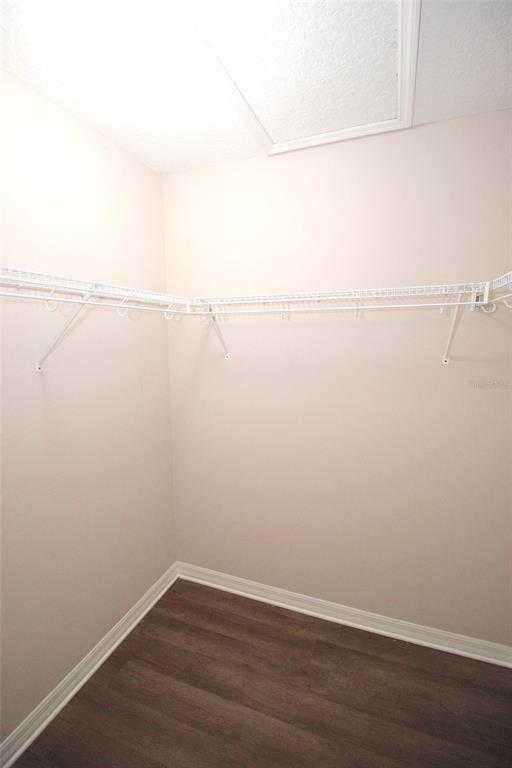 Building Photo - 25 Bird of Paradise Dr