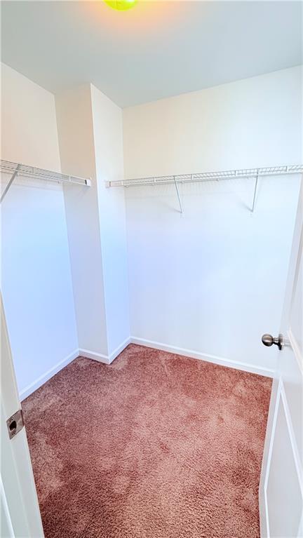 Building Photo - 2366 Proctor Creek Enclave