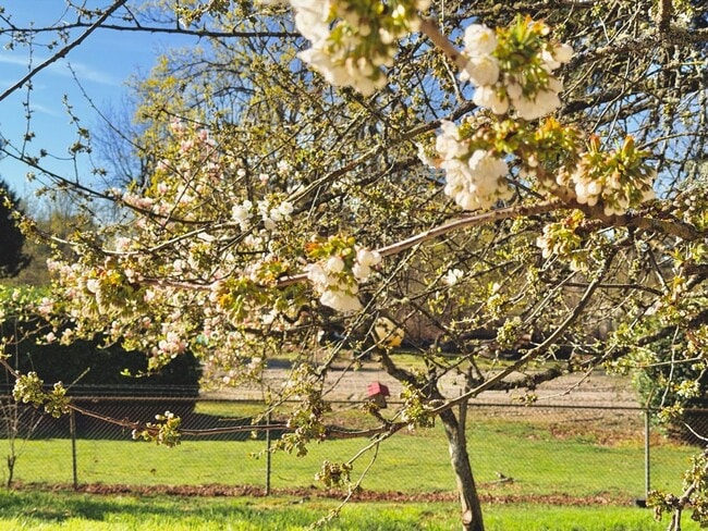 Building Photo - Charming 4BR Home with Huge Yard - W/D and Garage