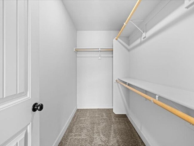 Building Photo - 4313 Vermilion Ln