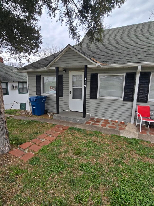 Building Photo - 313 Shadowrock Dr