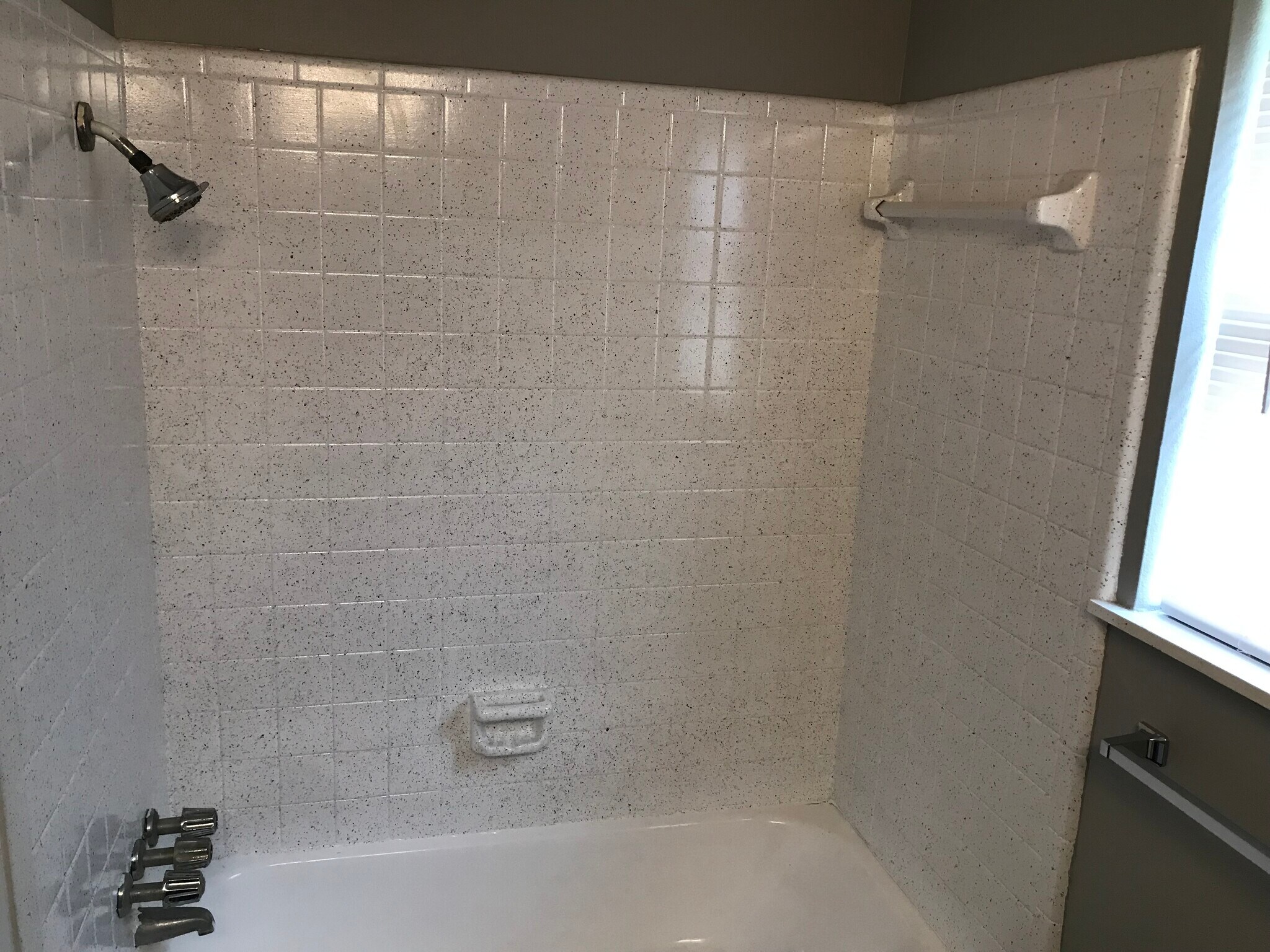 Master Bath - 305 Dover St