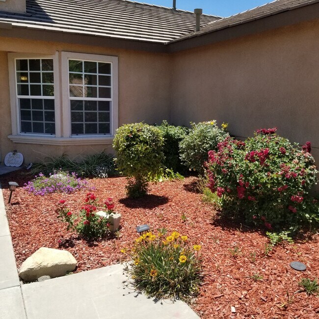 Building Photo - 805 Alpine Ct