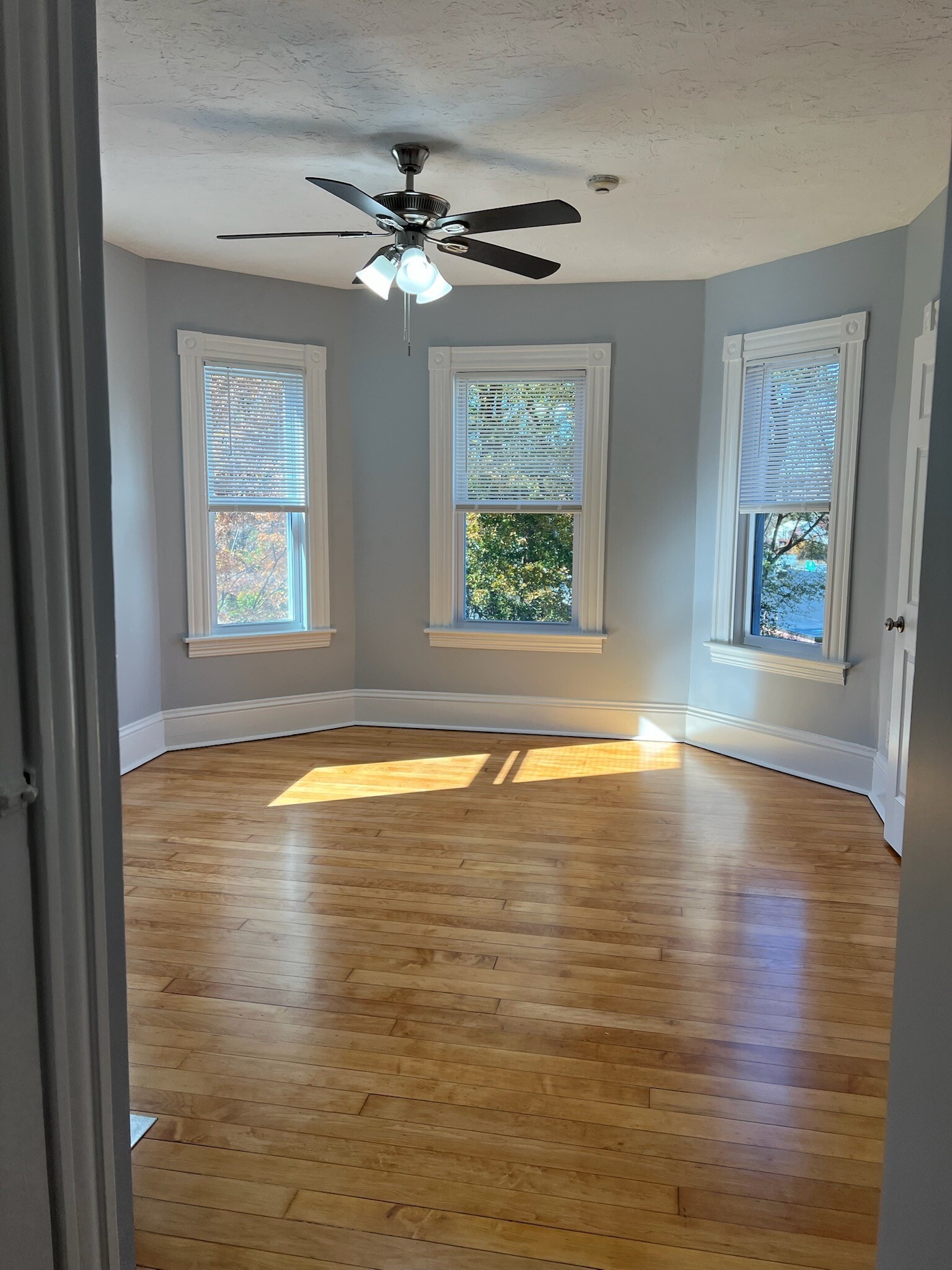 LIVING ROOM - 28 Paine St