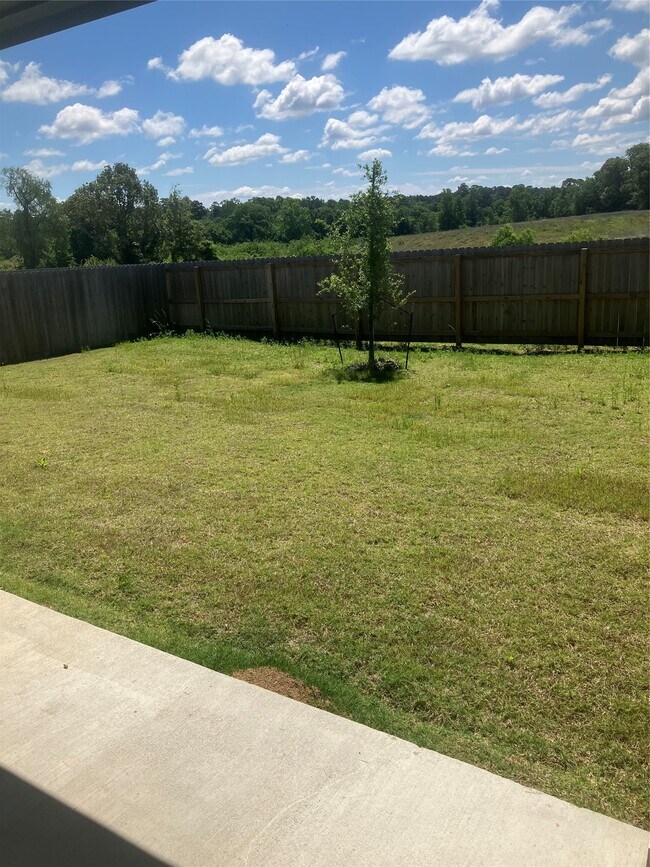 Building Photo - 232 Blanco Dr