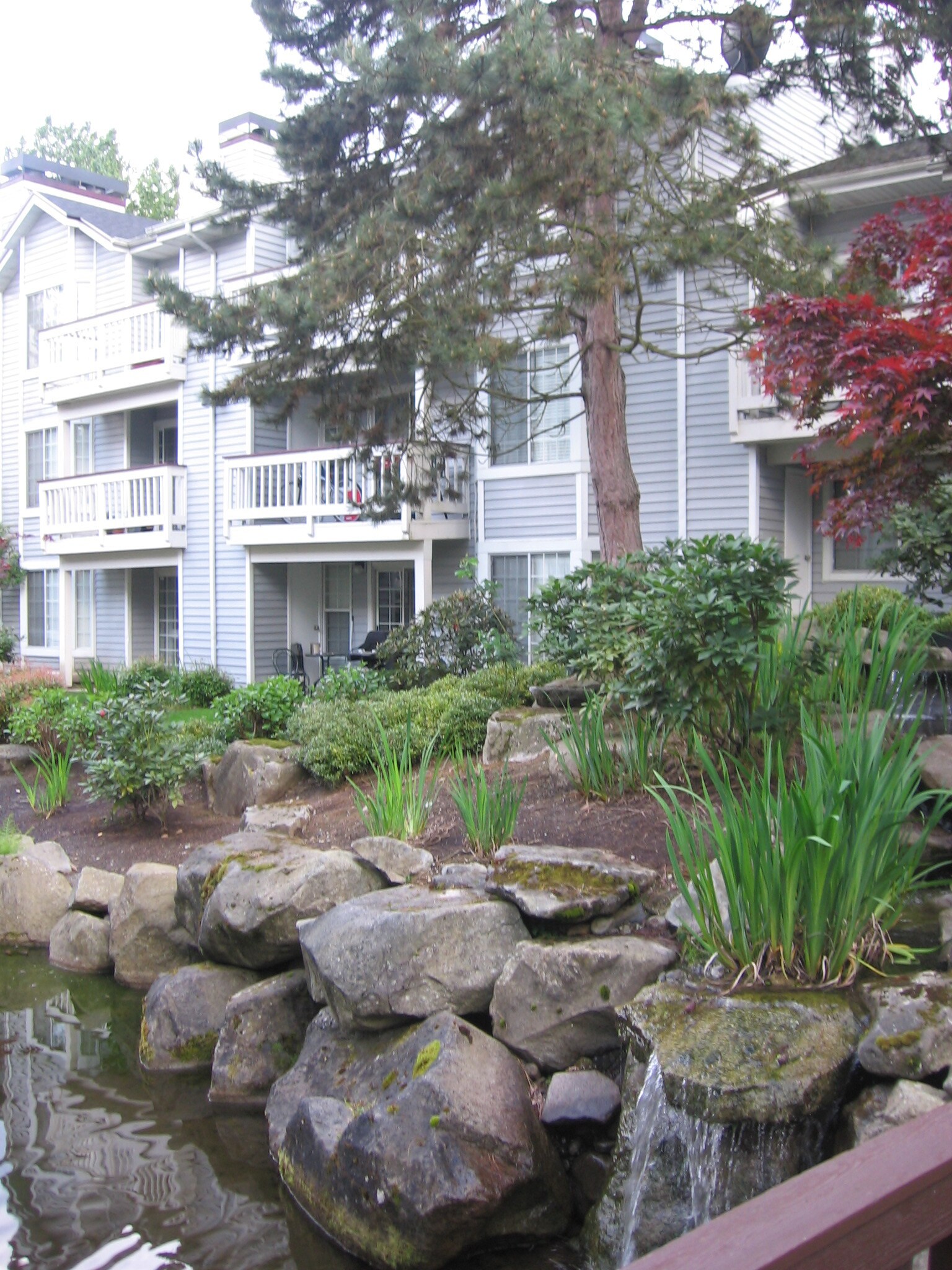 Back yard view - 11112 NE 124th Ln