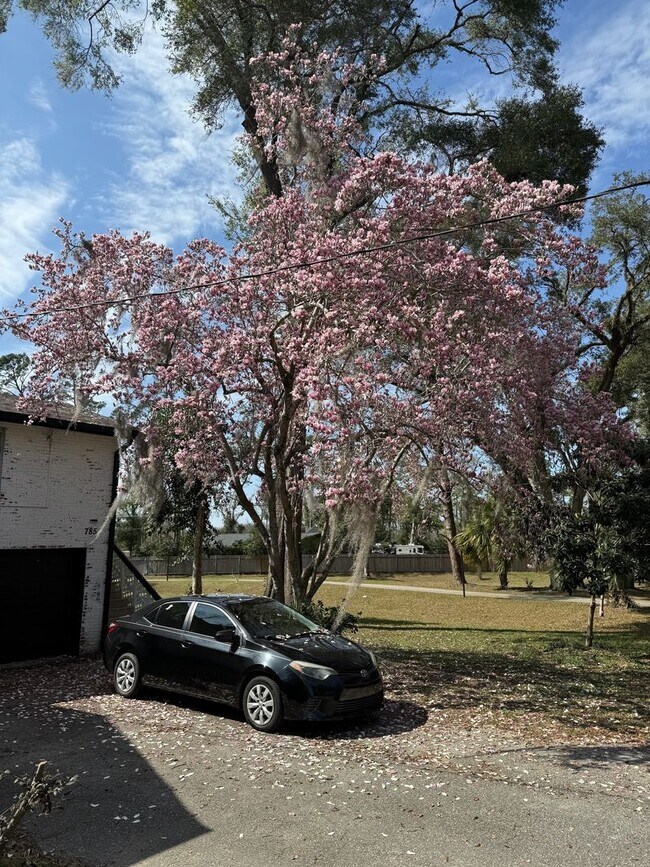 Building Photo - Spring Special! ONE MONTH FREE RENT! Moder...