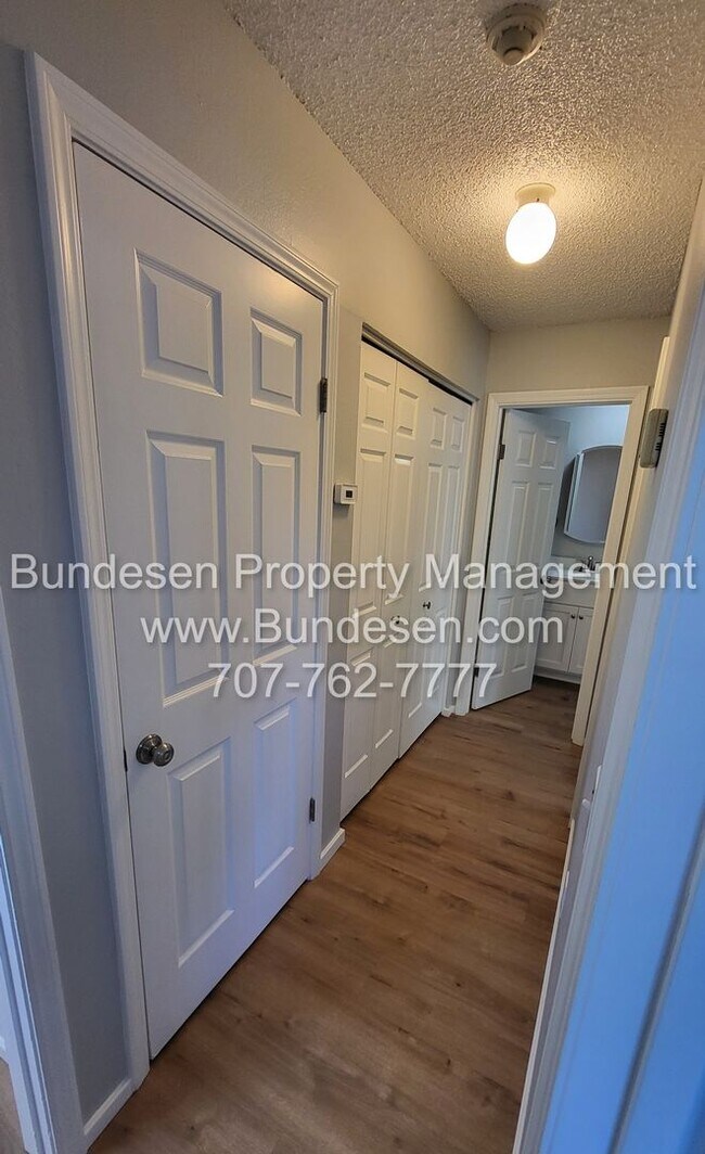 Building Photo - Freshly Renovated ~300 Stony Point Road,  ...