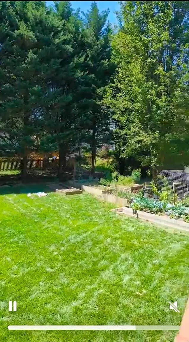 Building Photo - 113 Bottlebrush Ct