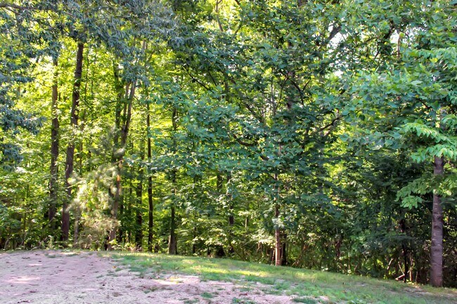 Building Photo - Single level living, backs to trees