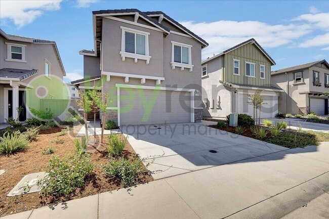 Primary Photo - 2129 Shady Tree Cir