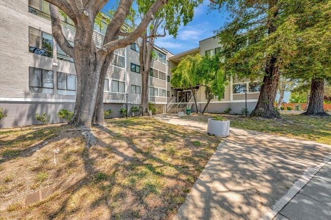 Building Photo - 240 N Bayshore Blvd