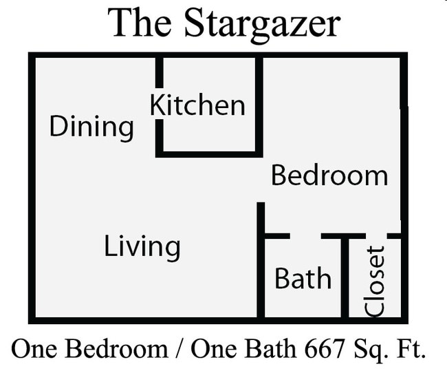 The Stargazer - HARRIS GARDENS