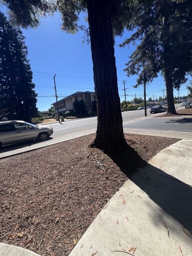 Building Photo - 20077 Redwood Rd