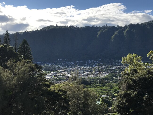 View from 2nd level - 3321 Anoai Pl