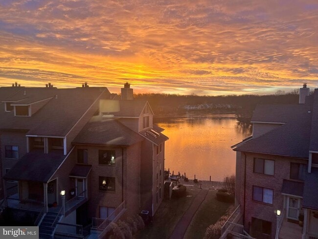 Building Photo - 11218 Harbor Ct