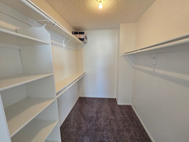 Building Photo - 2 Story 4 Bedroom House Just painted and n...