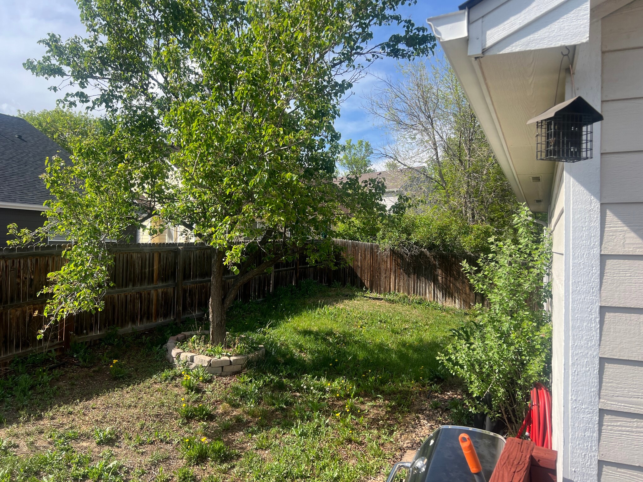 backyard 2 - 11681 Elizabeth Pl