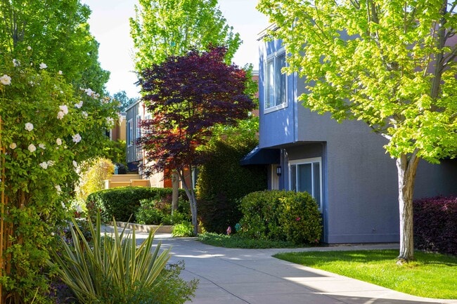 Outside building w/walkway - Palm Terrace Condominium Rentals