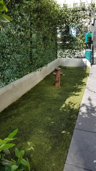 Dog Friendly - 849 S Broadway