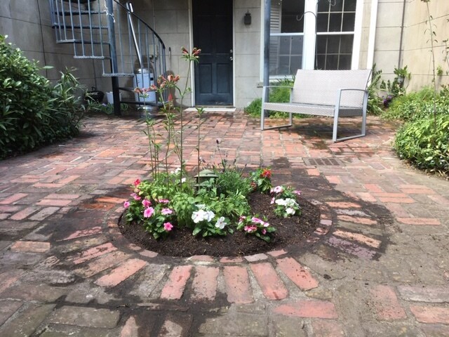 Another courtyard view - 409 E Charlton St