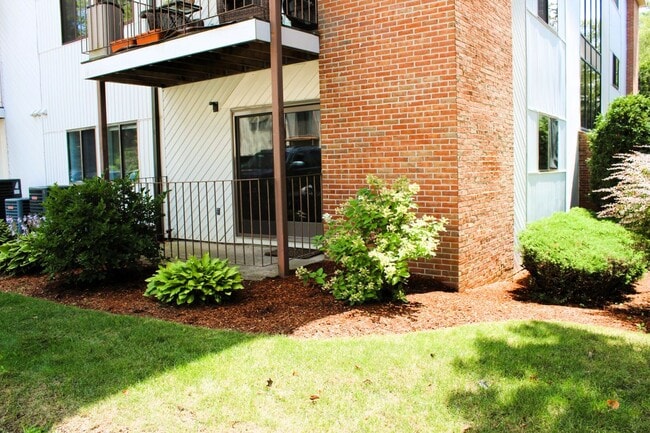 Building Photo - 307B Amherst St