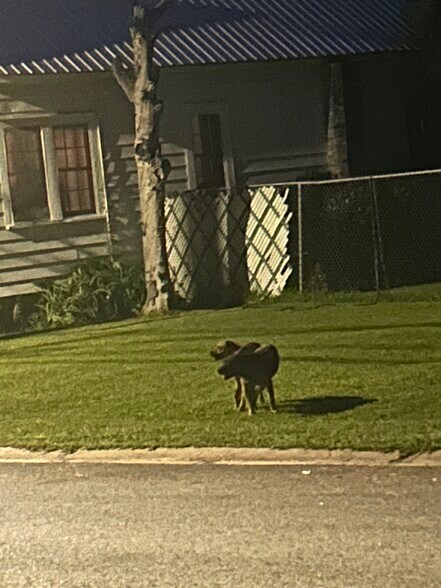 Building Photo - 135 Persimmon St