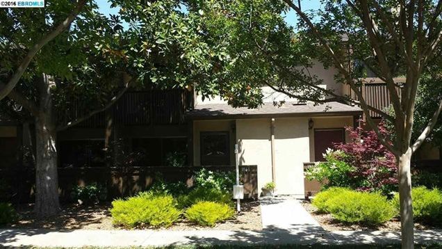 Building Photo - 1861 Olmo Way