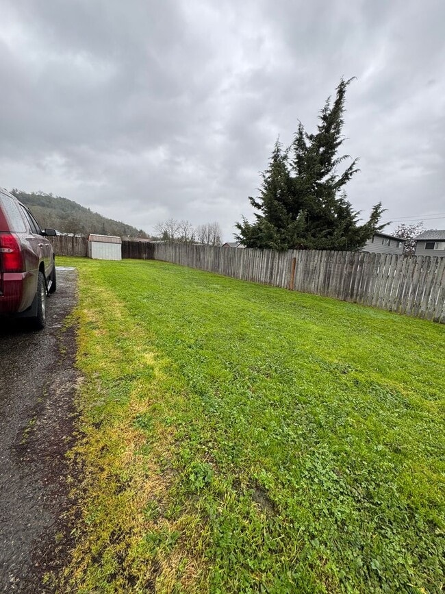 Building Photo - Winston 3 bedroom 2 bath with large storage shed and carport