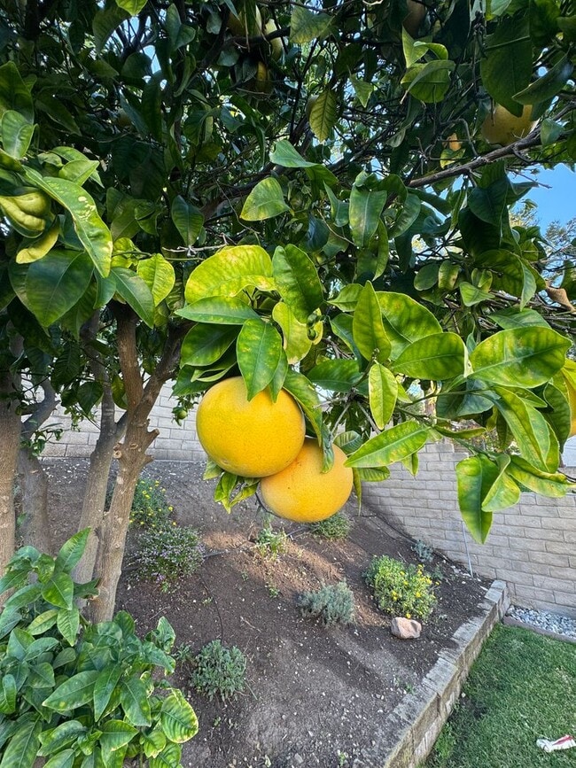 Building Photo - Charming Cul de Sac Home with Spacious Yard and Renovated Interior