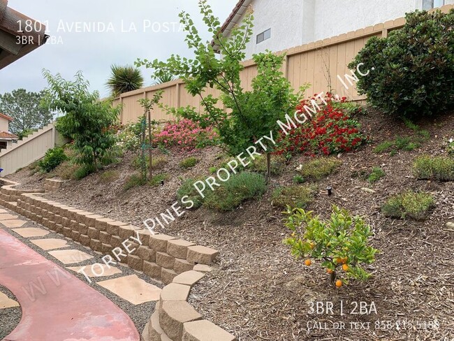 Building Photo - 1801 Avenida La Posta