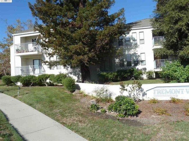 Primary Photo - 39455 Albany Common