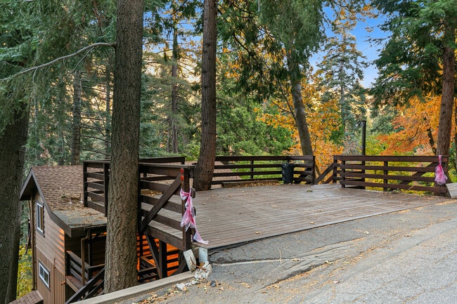 Building Photo - 729 Rhine Rd