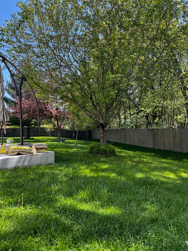 Building Photo - 11726 Kingwood Ct