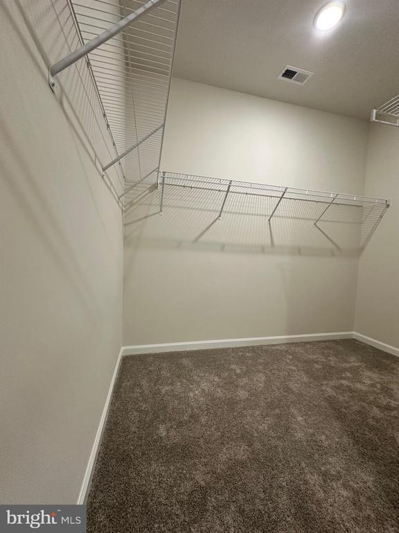 Building Photo - 807 Shay Ct