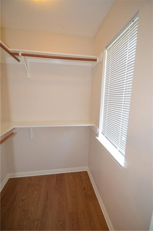 Building Photo - 3013 Sussex Gardens Ln