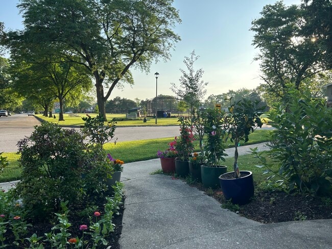 Park across street playground - 1620 S Washington Ave