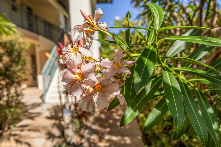 Building Photo - 3950 Kalai Waa St