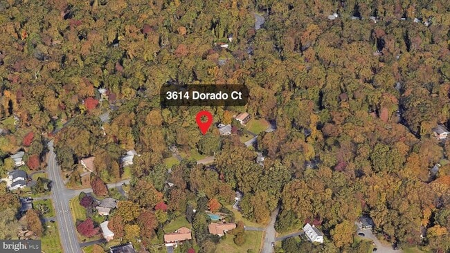 Building Photo - 3614 Dorado Ct