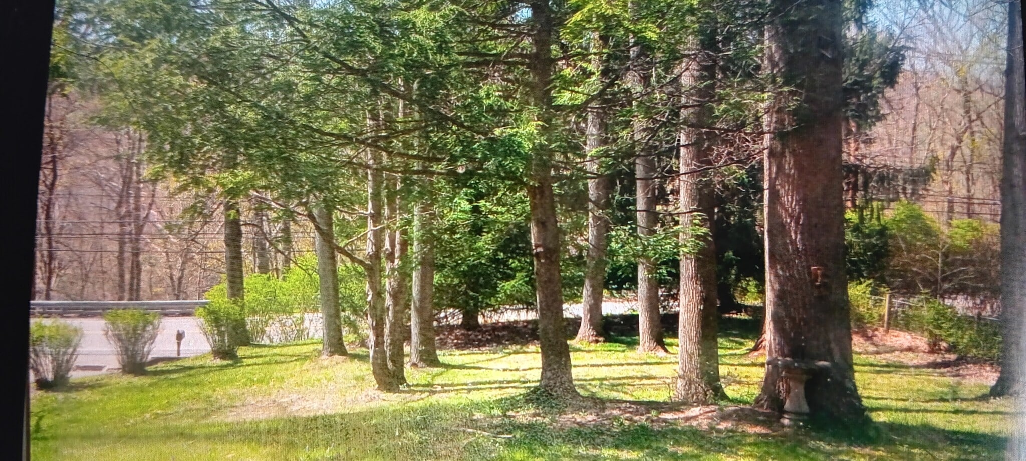 View from kitchen/ living room - 117 Fern Hollow Rd