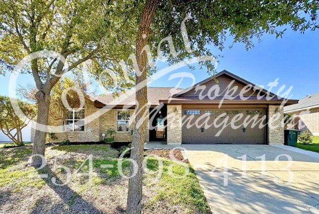 Primary Photo - AVAILABLE NOW!