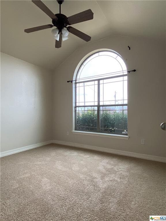 Building Photo - 502 Irish Ln