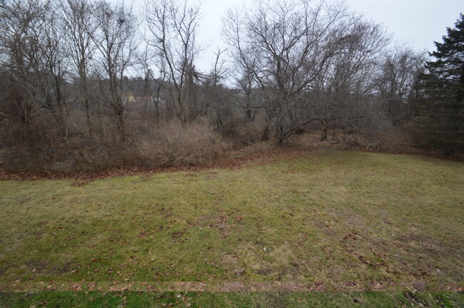 Backyard near the "Valley" in Middletown - 395 Valley Rd