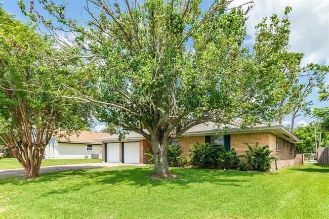 Building Photo - 303 Ligustrum St