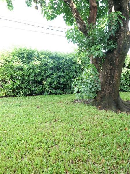 Building Photo - 12 Willowbrook Ln